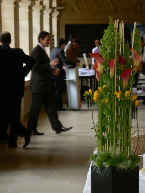 IFCT2009_J1_244_r